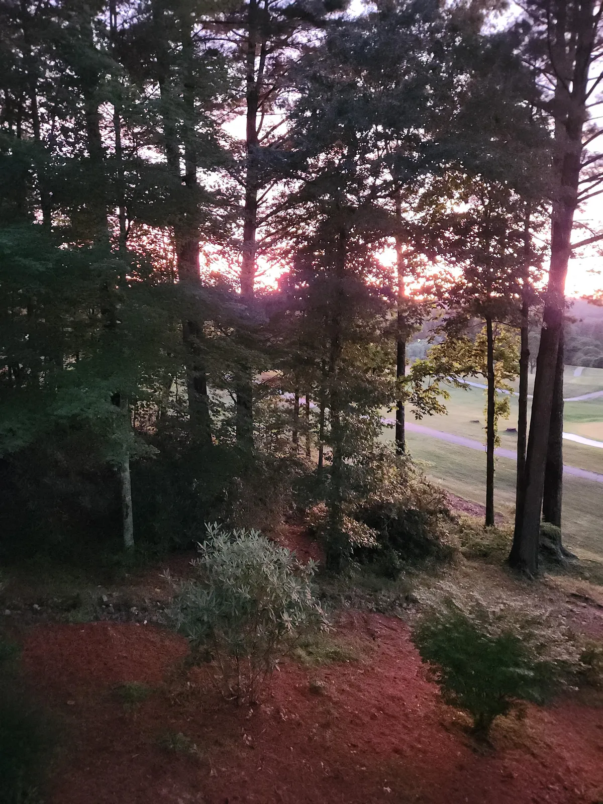 A serene sunset scene featuring trees and a wide landscape, capturing the peaceful ambiance of the area and hinting at the region's renowned stargazing opportunities.