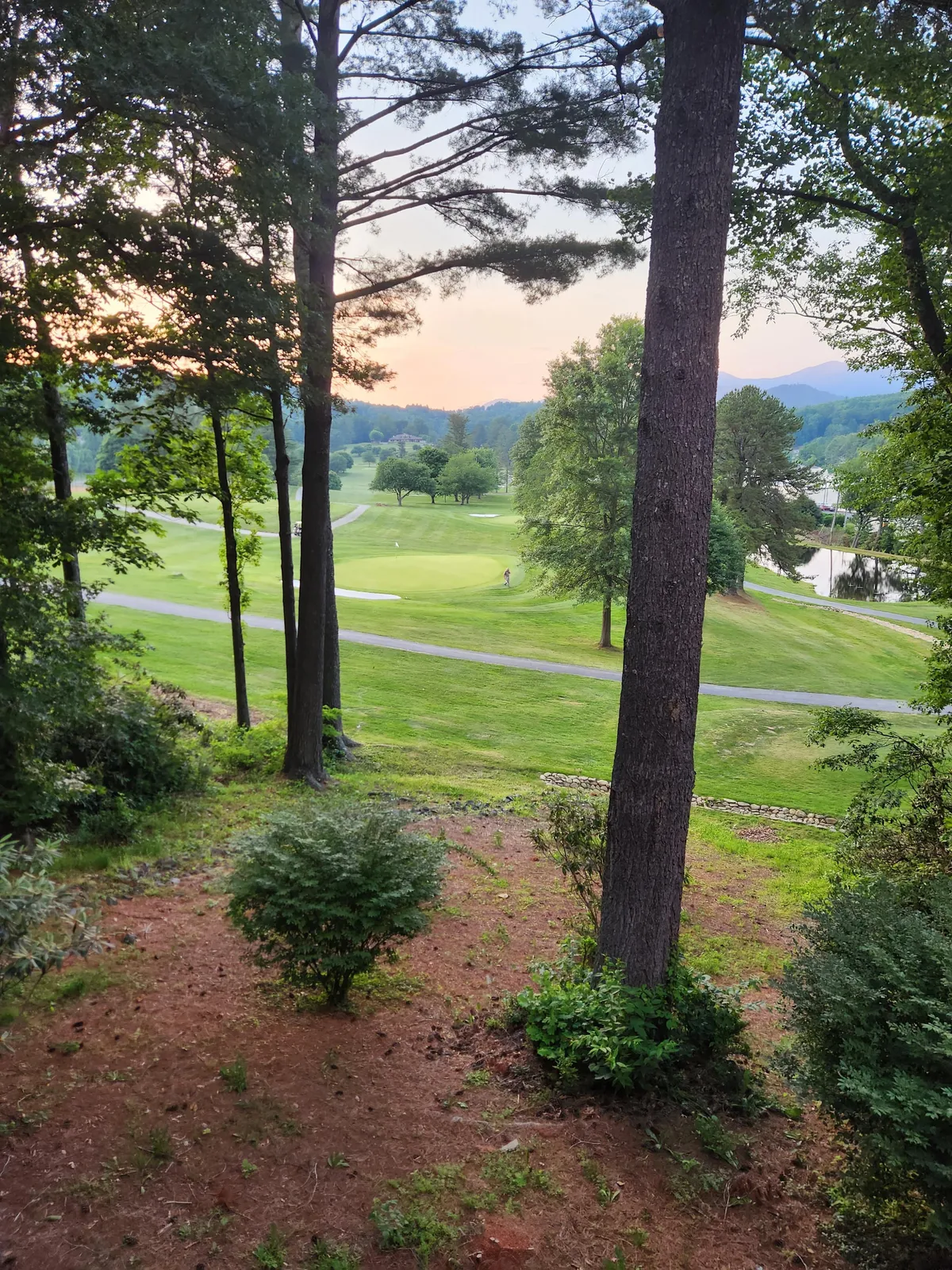 A scenic outdoor view of a lush golf course set against distant mountains, framed by tall trees and a meandering pathway. Natural light bathes the landscape, emphasizing the beauty and tranquility of the area. The image evokes the sense of open space and connection to nature that road trippers and explorers seek in the Blue Ridge region.