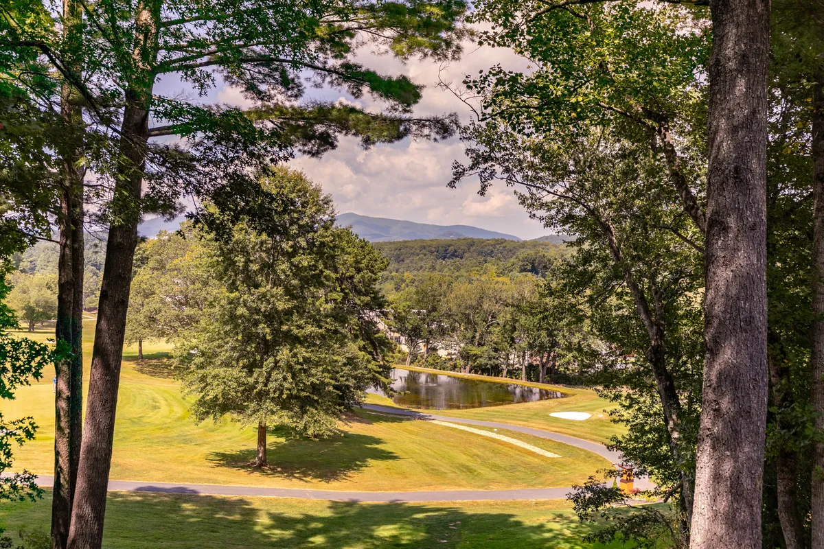 This image captures a sweeping view of lush green trees, a serene pond, distant mountains, and a curving path that invites exploration. The natural landscape evokes a sense of adventure, tranquility, and outdoor enjoyment—perfect for hiking, fishing, and scenic drives.
